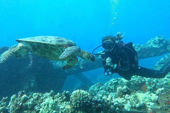 Small-Group Shark and Turtle Dive for Certified Divers - The safety briefing and pace underwater