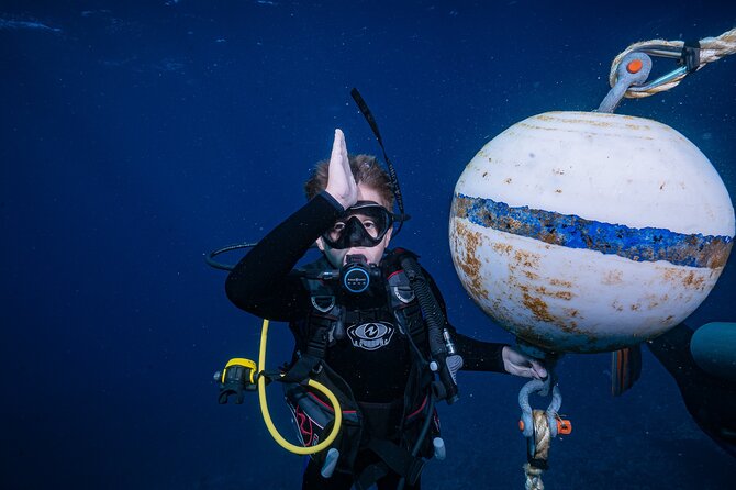 Small-Group Shark and Turtle Dive for Certified Divers - A small group changes the feel of the outing