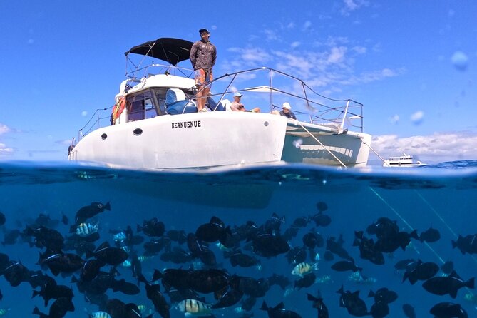 Small Group Turtle Canyon Snorkel in Waikiki (Boat Tour) - Key points to know before booking