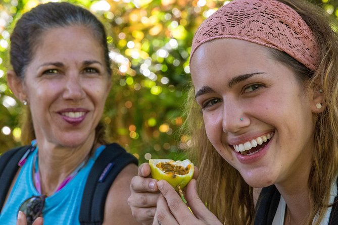 Small Group Waterfall and Rainforest Hiking Adventure on Maui - Lunch, snacks, and what the price covers
