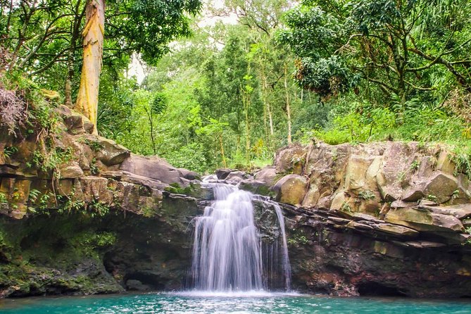 Small Group Waterfall and Rainforest Hiking Adventure on Maui - Timing, cancellation, and practical planning