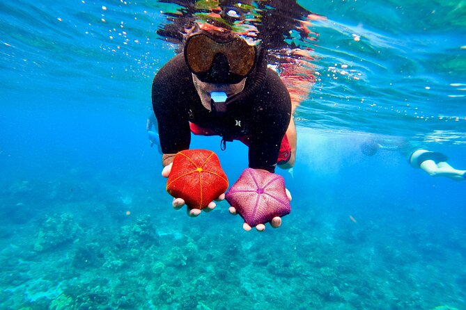Snorkeling for Non-Swimmers with Photos Guided Tour Wailea Beach - Is $149 a Fair Price?
