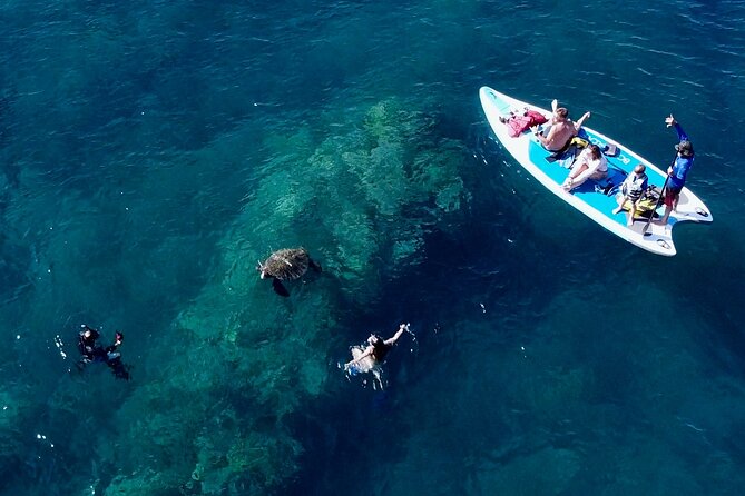 Snorkeling for Non-Swimmers with Photos Guided Tour Wailea Beach - Fish, Coral, and Sea Turtles