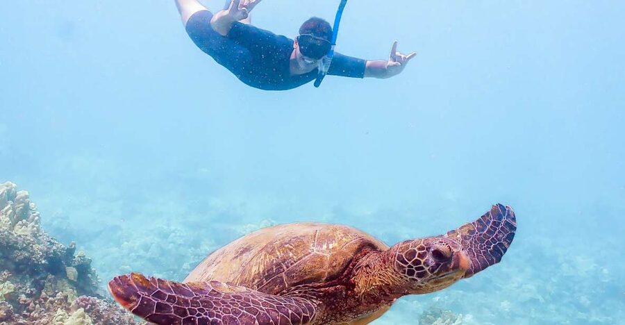 South Maui: Molokini Snorkeling Adventure - Key points to know before booking