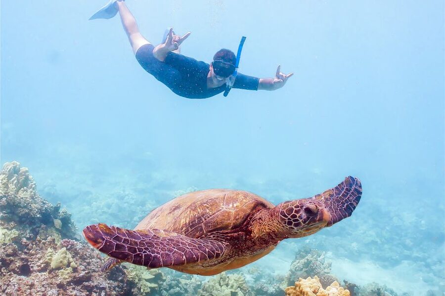 South Maui: Molokini Snorkeling Adventure - Turtle Town and the search for Hawaiian green sea turtles