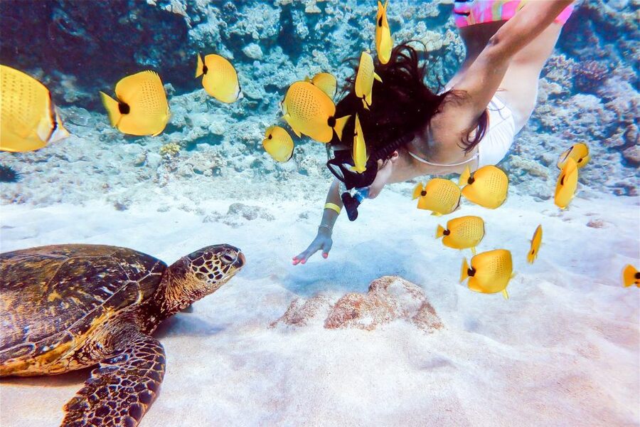 South Maui: Molokini Snorkeling Adventure - Who should book this Molokini trip