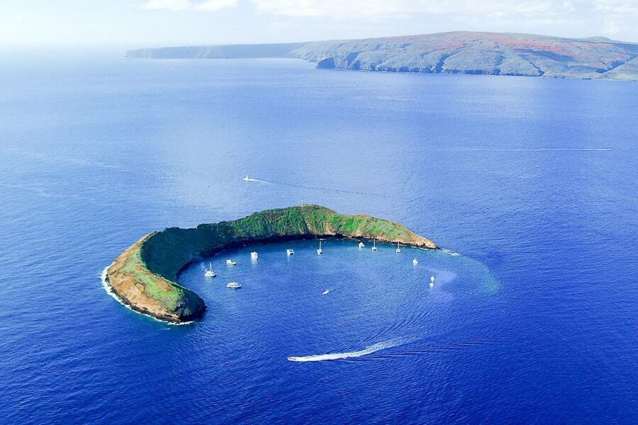 South Maui: Molokini & Turtle Town Snorkeling Tour with Meal - Key points to know before booking