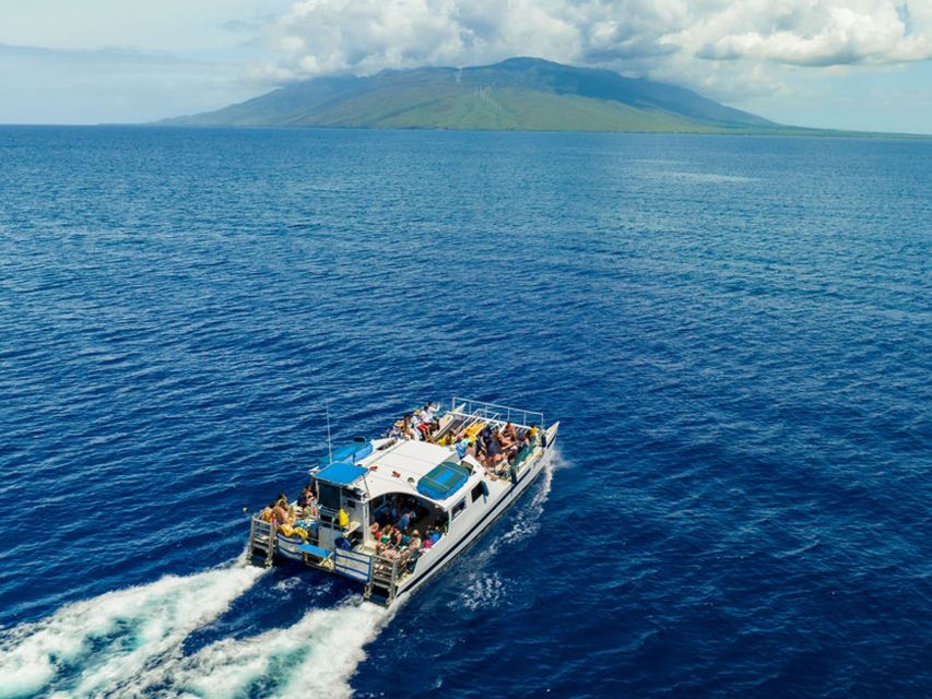 South Maui: Molokini & Turtle Town Snorkeling Tour with Meal - Lunch, shade, and the trip back to Maalaea