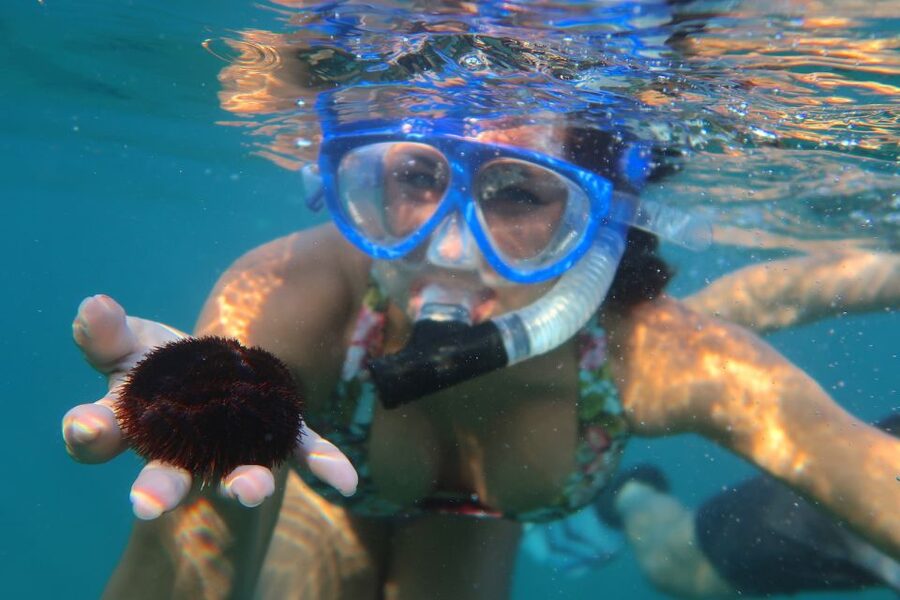 South Maui: Premium Turtle Town Kayak and Snorkel Tour - What guides add to the morning