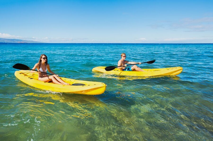 South Maui: Premium Turtle Town Kayak and Snorkel Tour - The physical side: easy to join, not effortless
