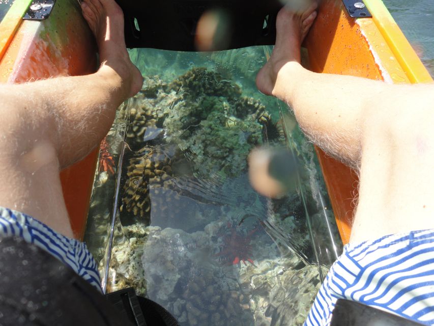 South Maui: Self Guided Clear Bottom Kayak Tour - Should you book the clear-bottom kayak rental?