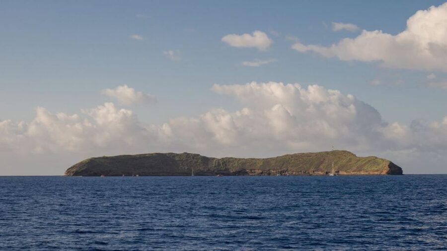 South Maui: Snorkel to Coral Gardens or Molokini Crater - Should you book the Malolo afternoon cruise?