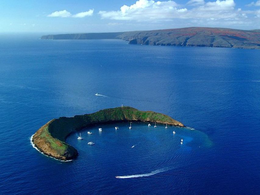 South Maui: Snorkel to Coral Gardens or Molokini Crater - What the crew adds to the outing