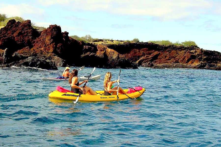 South Maui: Waterfall Tour w/ Kayak, Snorkel, and Hike - Snorkeling for Hawaiian Green Sea Turtles