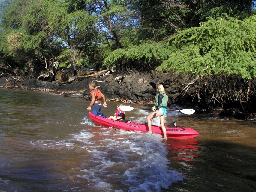 South Maui: Whale Watch Kayaking and Snorkel Tour in Kihei - From Makena Landing to the open sea