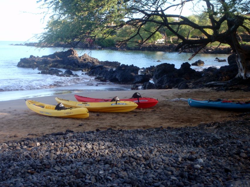 South Maui: Whale Watch Kayaking and Snorkel Tour in Kihei - Snorkeling the reef near Makena