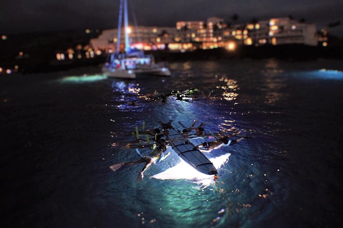 Sunset and Manta Ray Snorkel Adventure - What happens from check-in to the Kona pier