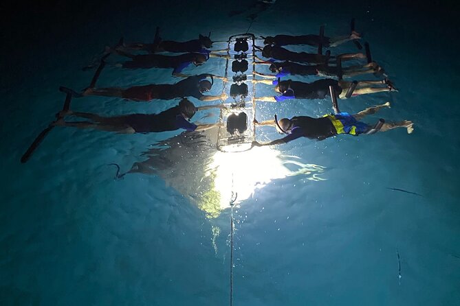 Sunset and Manta Ray Snorkel Adventure - What is included, and what should you bring?