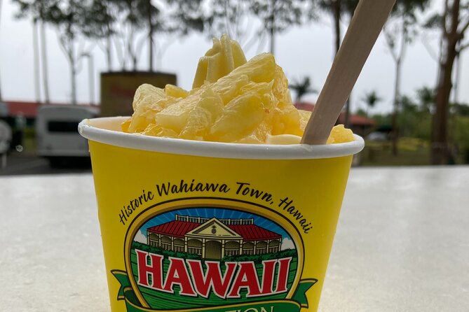 "The Dole Plantation" & "North Shore" Private Limousine VIP Tour! - Three hours at Dole Plantation