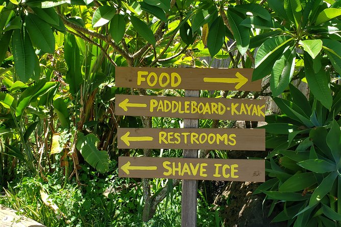 Tour of North Shore & Waimea Waterfall - Waimea Valley and the waterfall walk