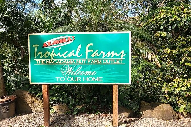 Tour of North Shore & Waimea Waterfall - What Dole Plantation really offers