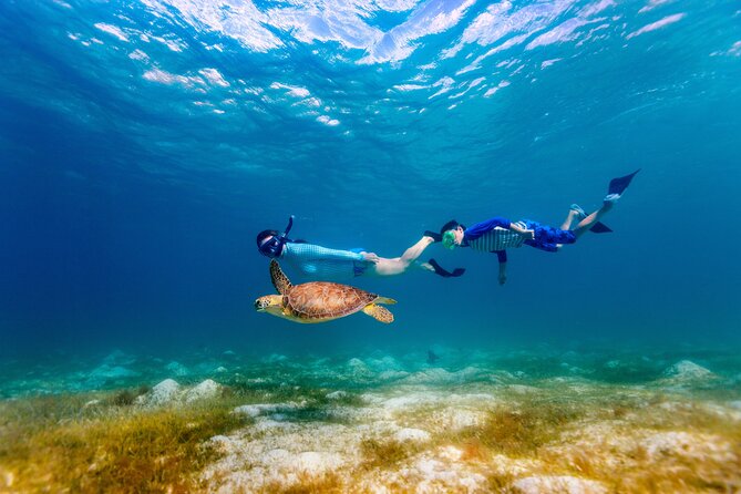Turtle Canyon Snorkel Adventure - Small Group 6 Passengers - A small boat with a clear purpose