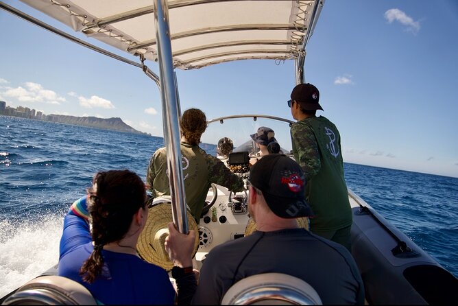 Turtle Canyon Snorkel: Semi Private Boat Tour - Why the small boat changes the experience
