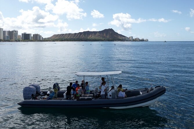 Turtle Canyon Snorkel: Semi Private Boat Tour - Drawbacks worth knowing before you book