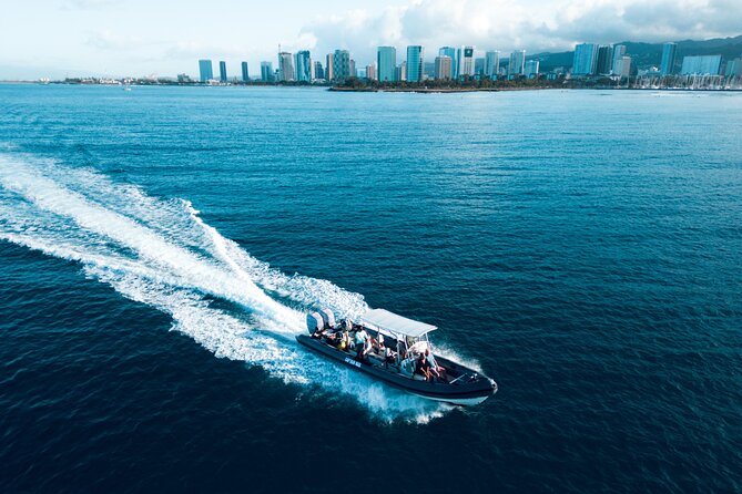 Turtle Canyon Snorkel: Semi Private Boat Tour - Gear, instruction, and help in the water