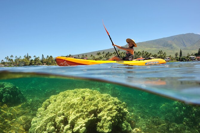 Turtle Reef Kayak Tour of Makena, Maui - Booking, cancellation, and the best choice of departure