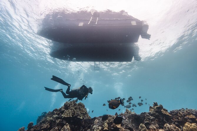 Two Tank Morning Reef Dive and Snorkel - Two Kona reefs in one morning