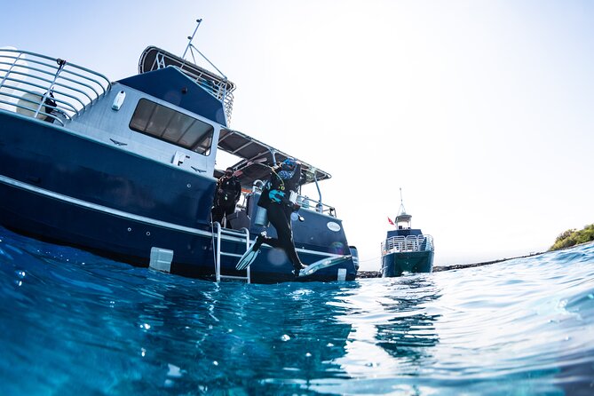 Two Tank Morning Reef Dive and Snorkel - Lava rock, caves, walls, and local sea life
