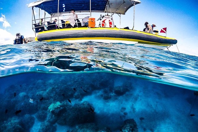 Ultimate 4 Hour Lanai Snorkel and Dolphin Encounter - The second stop near Maui