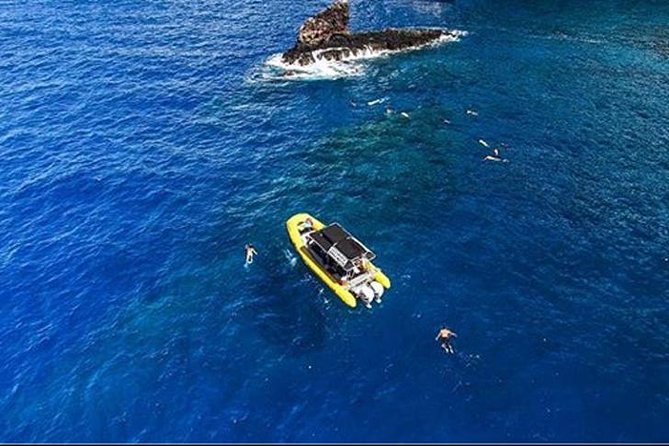 Ultimate 4 Hour Lanai Snorkel and Dolphin Encounter - How the crew handles safety and beginners
