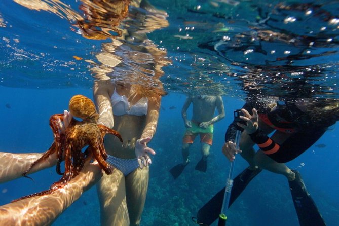 Ultimate 4 Hour Lanai Snorkel and Dolphin Encounter - What the $175 price really covers