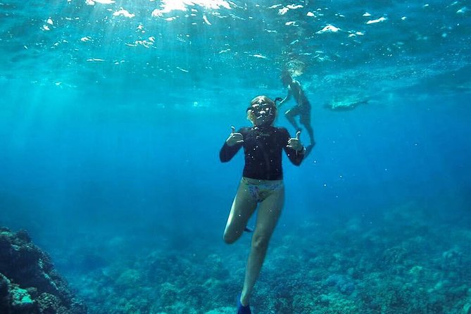 Ultimate 4 Hour Lanai Snorkel and Dolphin Encounter - Whale season from December through April