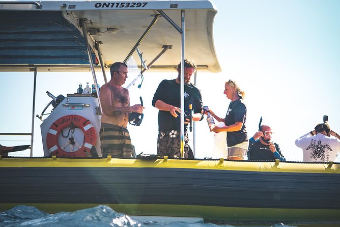 Ultimate 4 Hour Lanai Snorkel and Dolphin Encounter - Who will enjoy this outing most