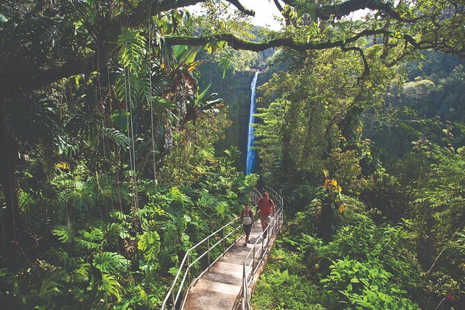 Volcano Adventure: Hilo Sightseeing w/ Optional Helicopter Tour - Hilo starts with banyan trees and tsunami history