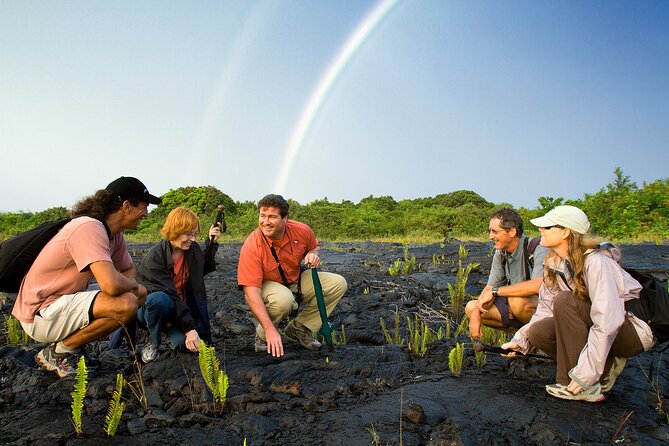 Volcano, Chocolate and Waterfalls of the Big Island - Four hours among Kilauea’s craters and lava