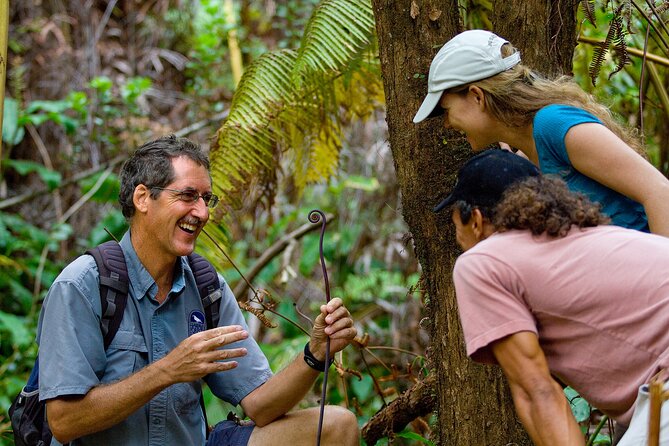 Volcano, Chocolate and Waterfalls of the Big Island - Why the small group matters
