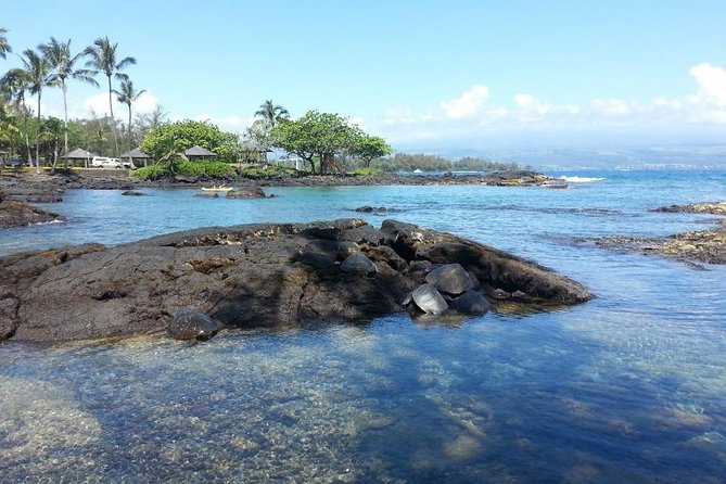 Volcanoes Adventure Tour from Hilo - Walking on volcanic ground