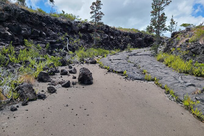Volcanoes National Park and Hilo Private Tour - What the private truck changes