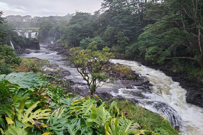 Volcanoes National Park and Hilo Private Tour - How much value you get for $1,695