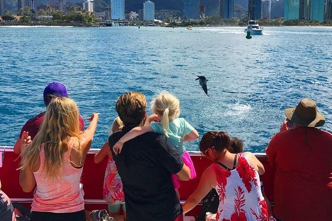 Waikiki Beach Glass Bottom Boat Cruise - What the Waikiki cruise is really like