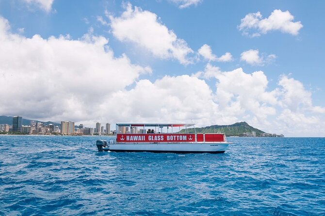 Waikiki Beach Glass Bottom Boat Cruise - How likely are fish, turtles, dolphins, and whales?