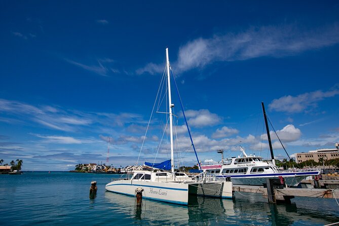 Waikiki Catamaran Snorkel Sail with Lunch: Turtles Guaranteed - Pickup, parking, and timing at Kewalo Basin