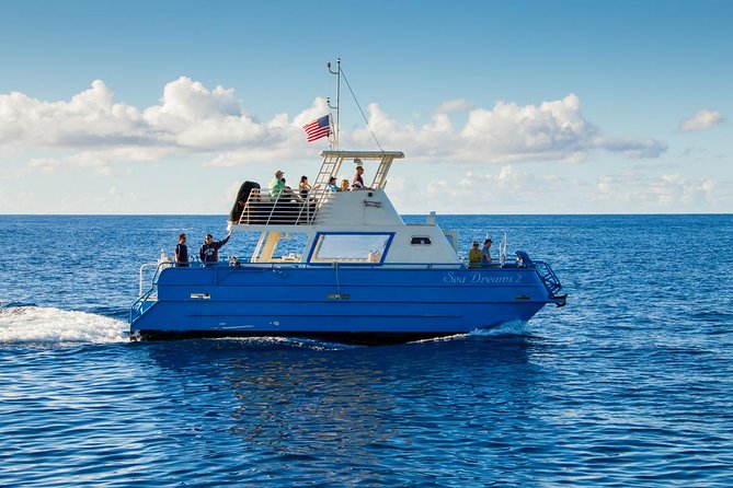 Waikiki Deluxe Catamaran Whale Watch - Who will enjoy this cruise most