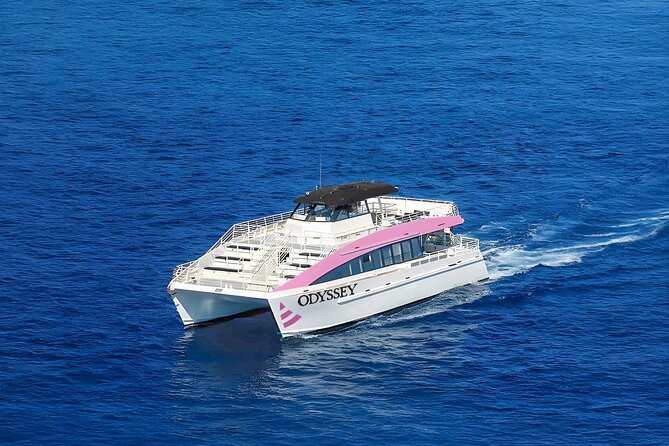 Waikiki: Friday Night Fireworks Catamaran Cruise - Who will enjoy it most?