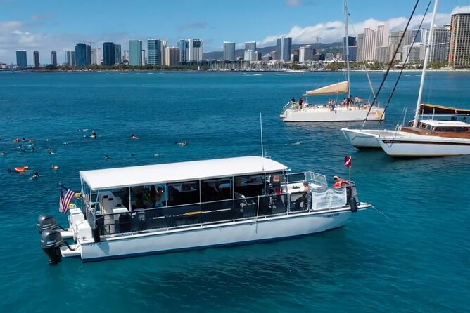 Waikiki Green Sea Turtle Snorkeling Tour - Boat Excursion - Leaving from Kewalo Basin Harbor