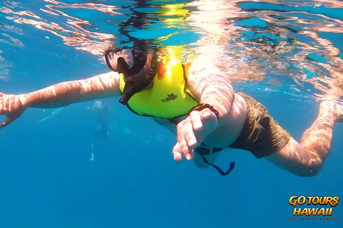 Waikiki Green Sea Turtle Snorkeling Tour - Boat Excursion - Weather, cancellations, and basic planning